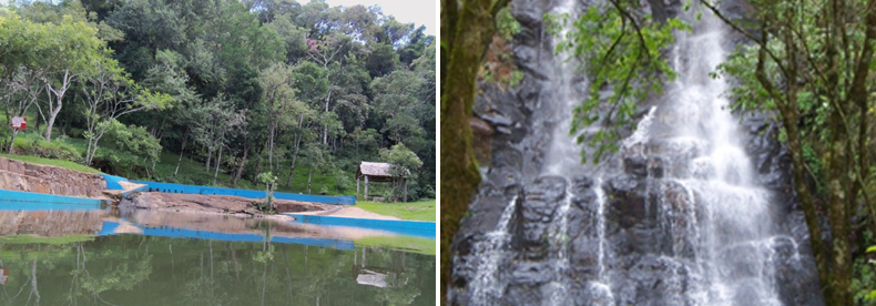 Salto los cedros